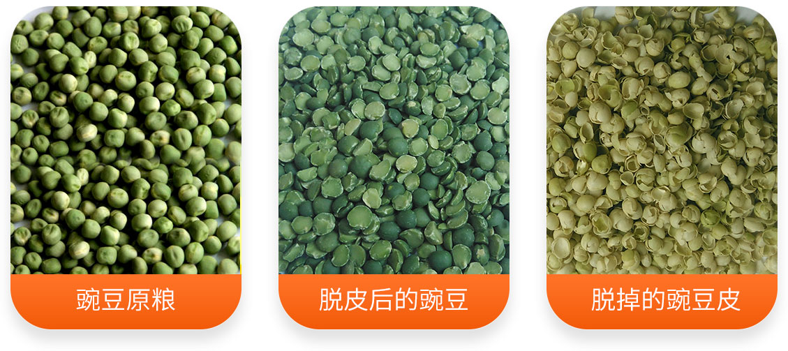 YTW系列豌豆脫皮機產成品圖