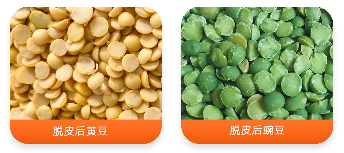 YHT700×4大型智能黃豆脫皮破瓣機組產成品圖