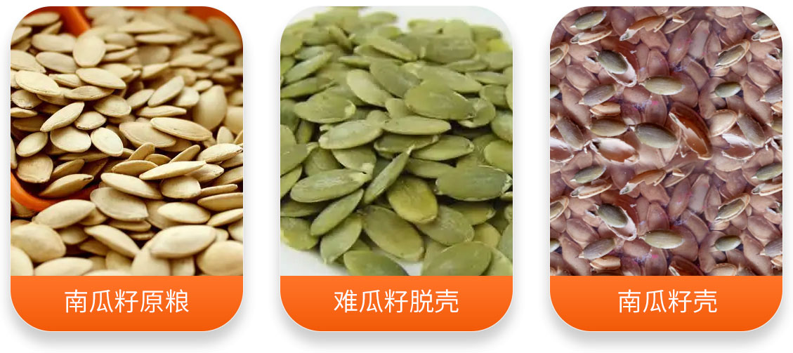南瓜子脫殼機(jī)產(chǎn)成品圖