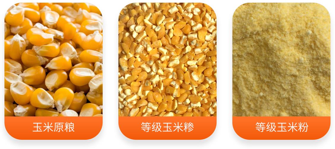 鋼架式玉米制糝制粉成套設備產成品圖