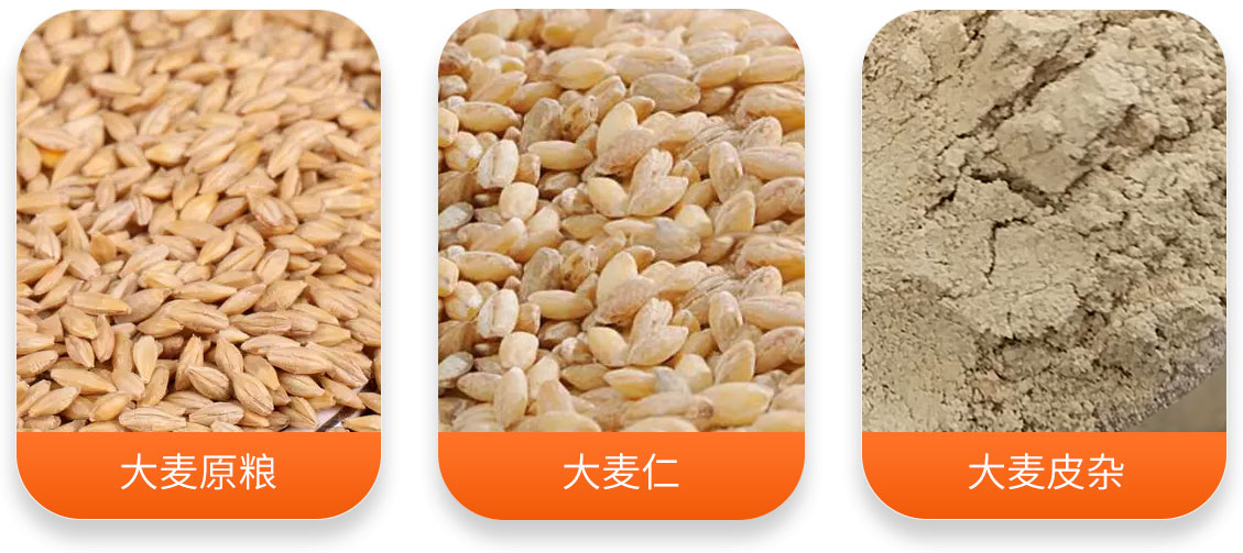 HTD系列大麥脫皮機產成品圖