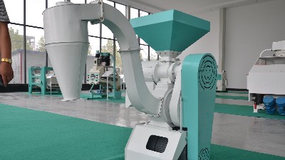 農(nóng)村小雜糧加工行業(yè)的前景怎么樣？
