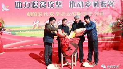 華豫萬通玉米加工機組——助力脫貧攻堅，推動鄉村振興