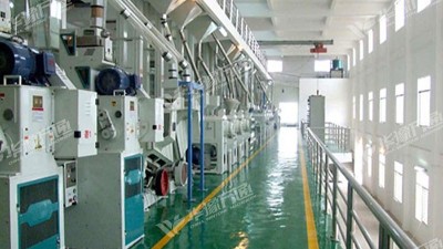 云南地區藜麥米加工設備選用哪個設備生產廠家？
