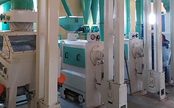 高粱米加工成套設備實拍圖片
