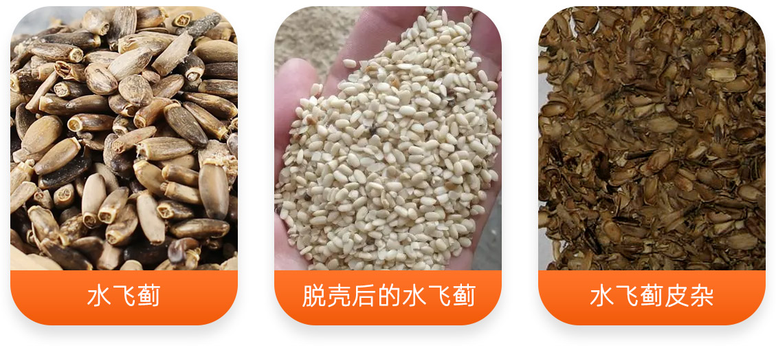 水飛薊脫殼成套設備產成品圖