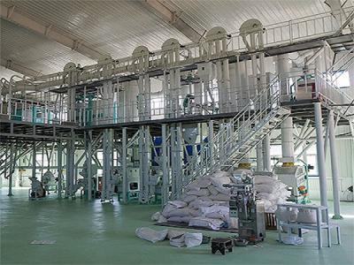 內蒙古日產200噸玉米深加工設備加工現場圖