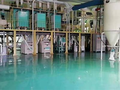 吉林省海城糧食公司日產(chǎn)60噸玉米加工廠