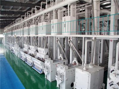 上海某農場日產100噸大米成套生產線用戶生產現場
